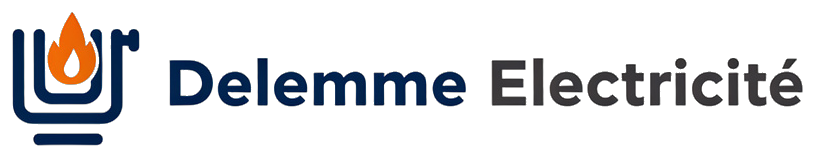 Delemme Elécticité